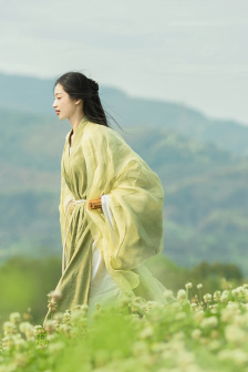 欧美A成人片在线观看